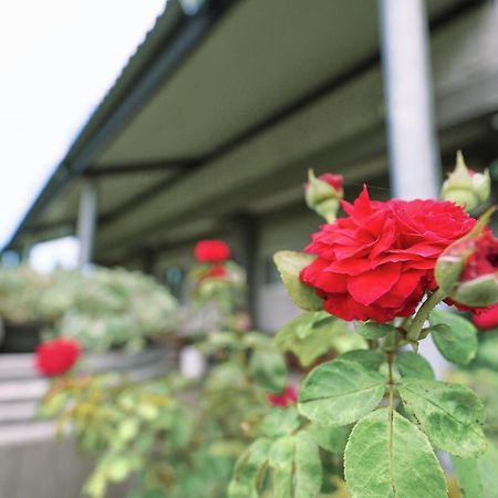 Taitung City-Cottage B&B Екстериор снимка