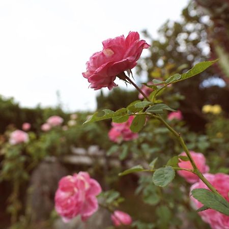 Taitung City-Cottage B&B Екстериор снимка