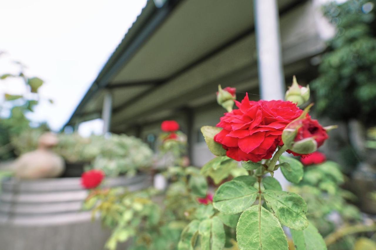 Taitung City-Cottage B&B Екстериор снимка