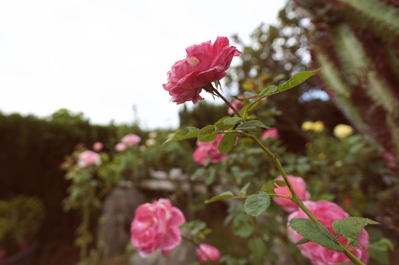 Taitung City-Cottage B&B Екстериор снимка